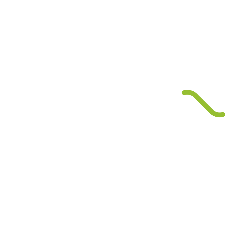 Evernex-Logo 800x800